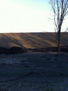 Tisza Keskenyi szakasz hullámtér rekonstrukció. DOVI-Trade Kft